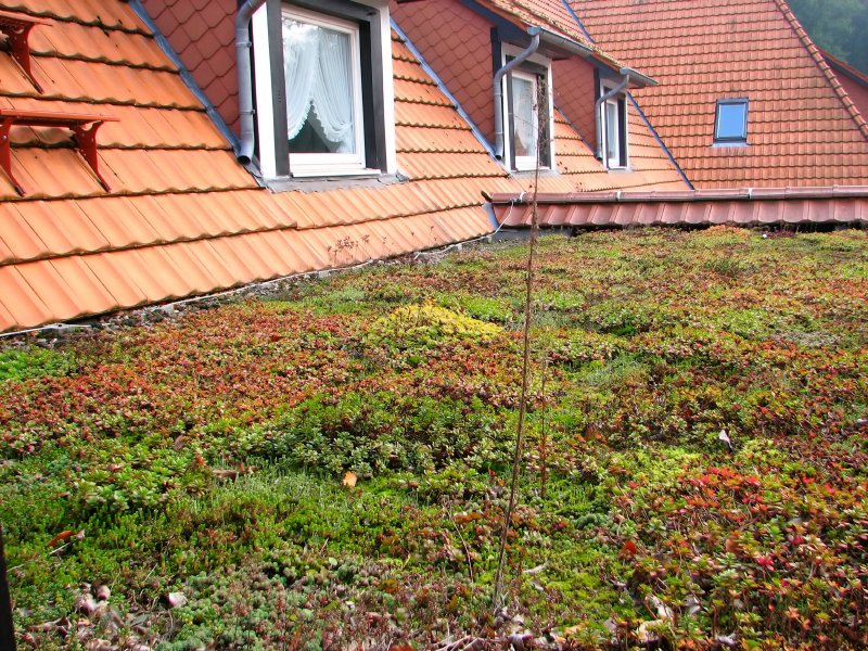 Green Roof Systems