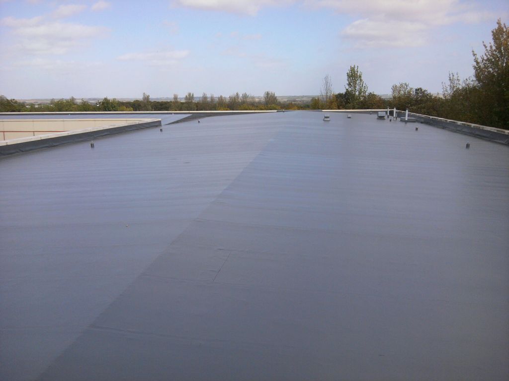 Single Ply Flat Roof